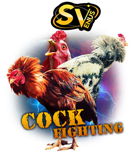 SVenus offers the best online cockfight betting for players to trigger the feelings and enjoy the Live together